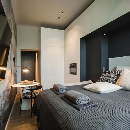 Luxury With A Park View アパート リガ